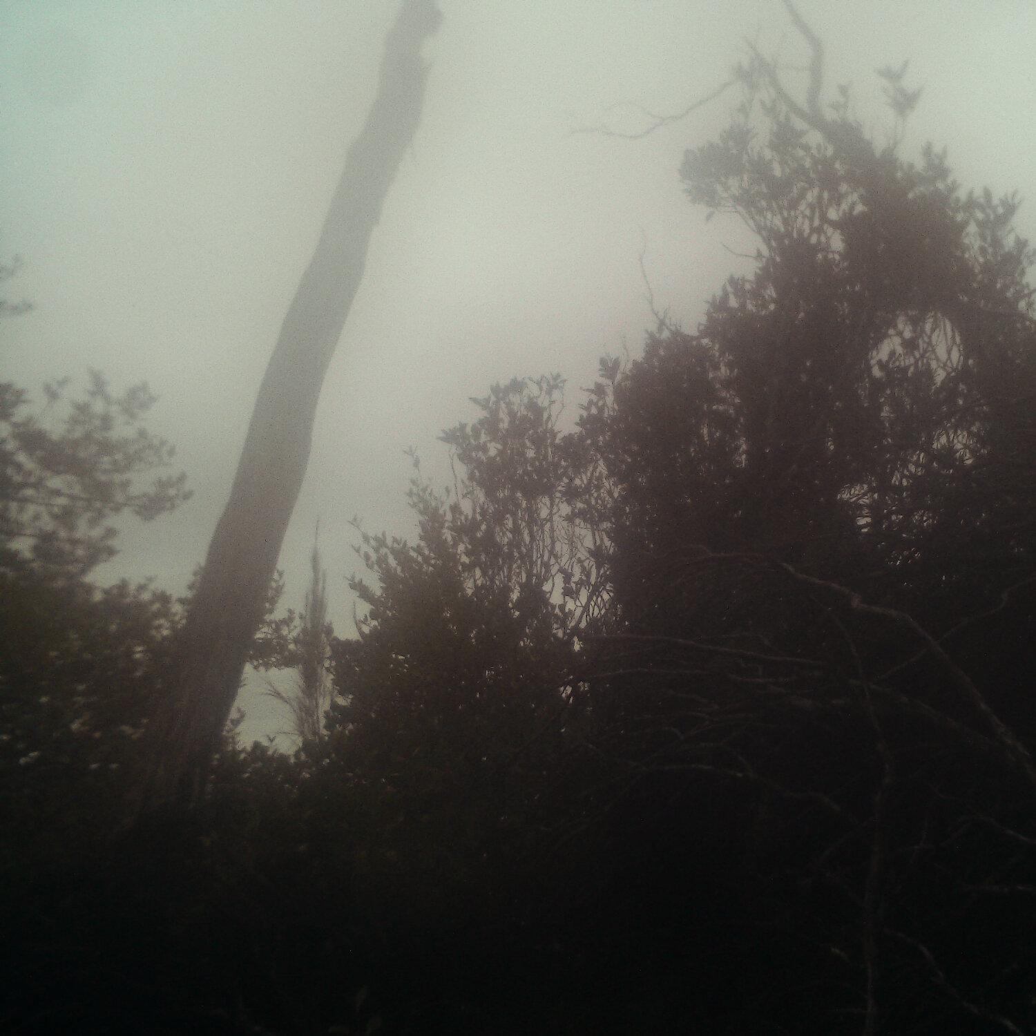 A photo captured from the webcam at the time the audio was recorded