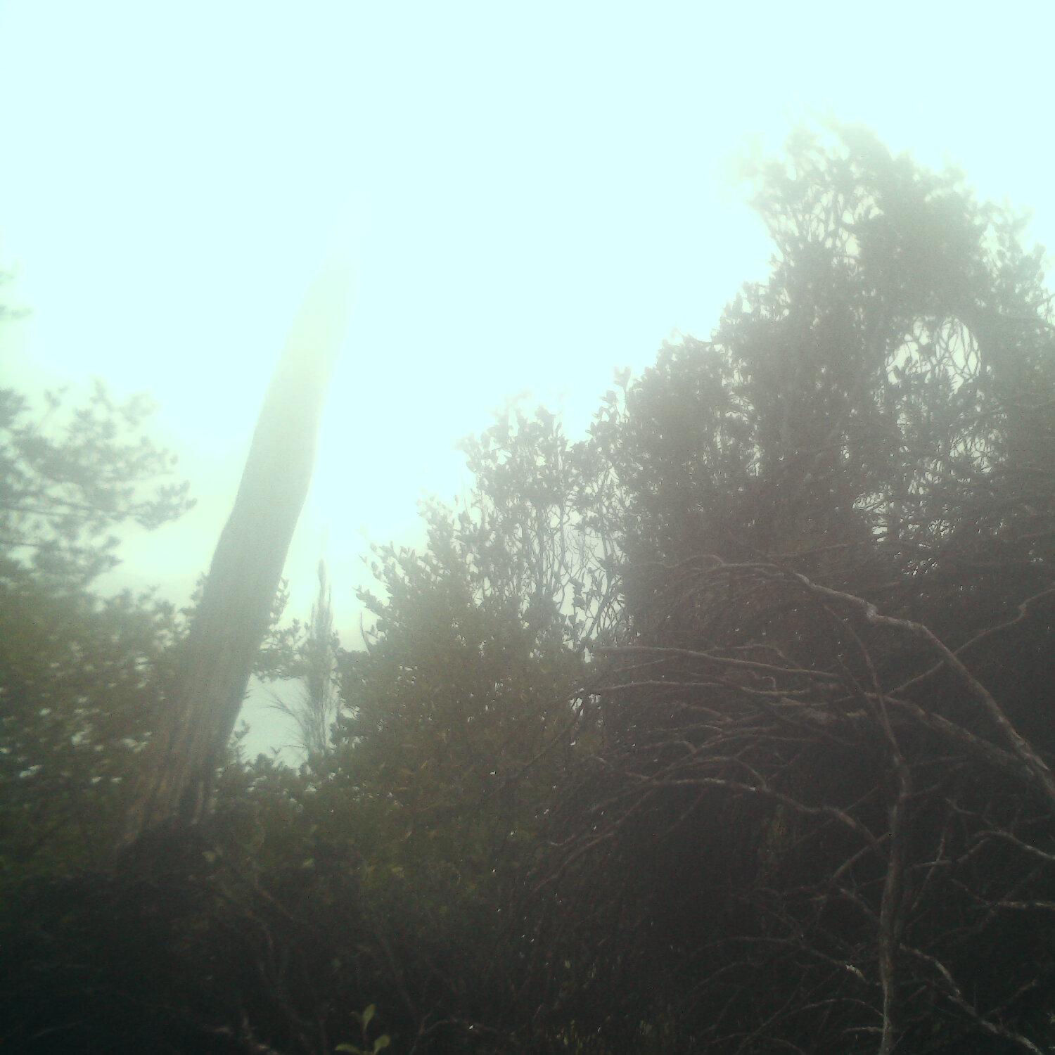 A photo captured from the webcam at the time the audio was recorded