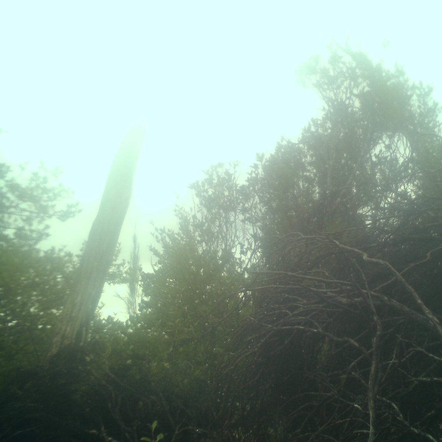 A photo captured from the webcam at the time the audio was recorded