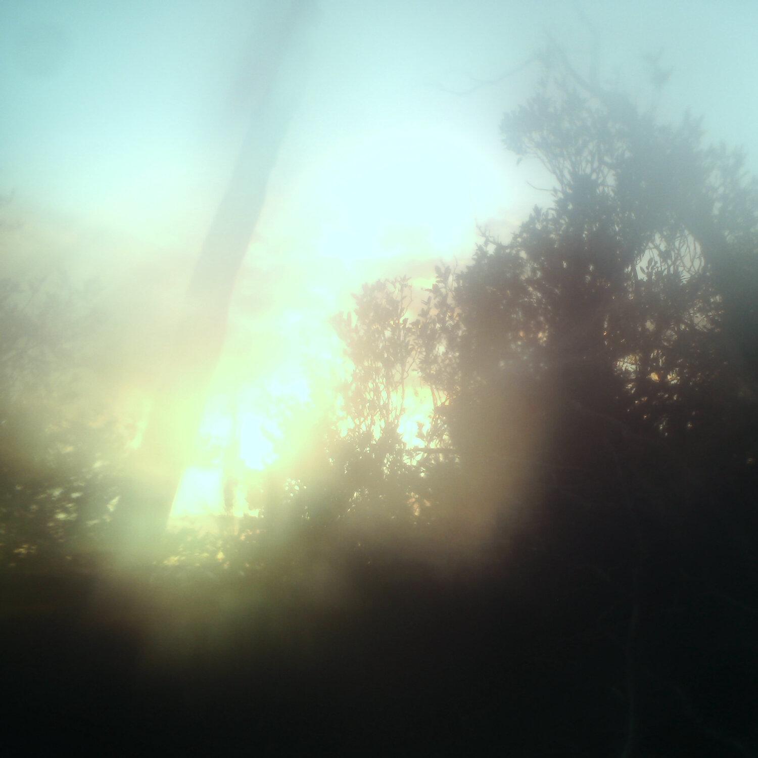 A photo captured from the webcam at the time the audio was recorded