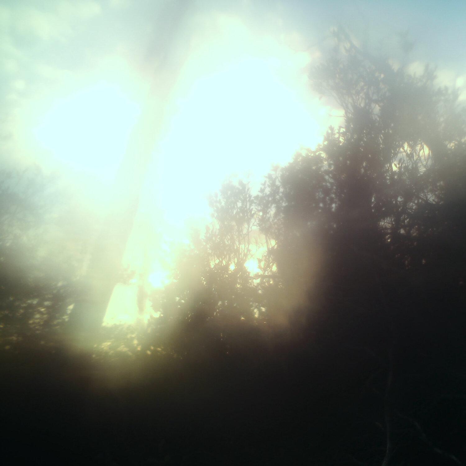 A photo captured from the webcam at the time the audio was recorded