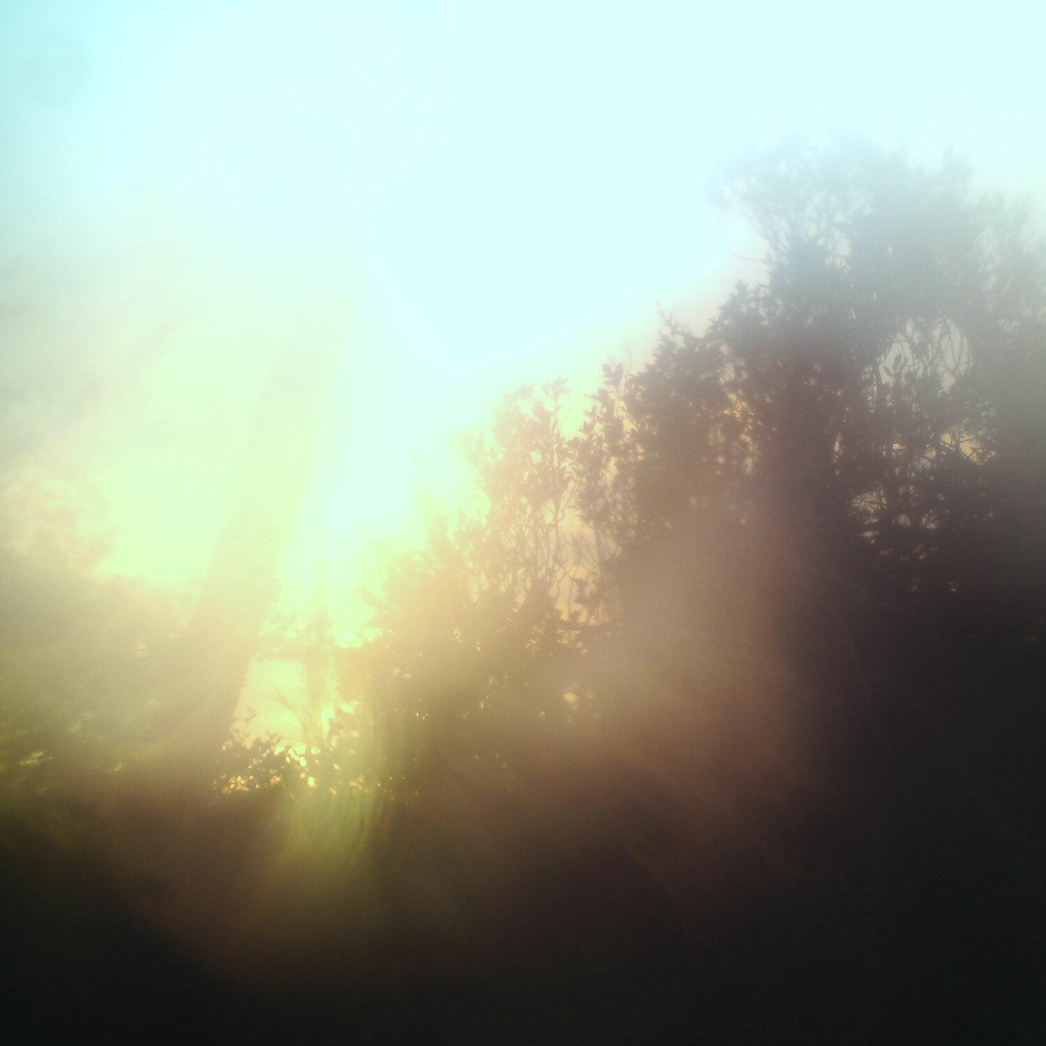 A photo captured from the webcam at the time the audio was recorded
