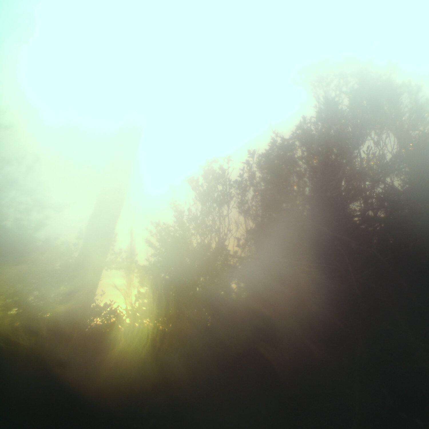 A photo captured from the webcam at the time the audio was recorded