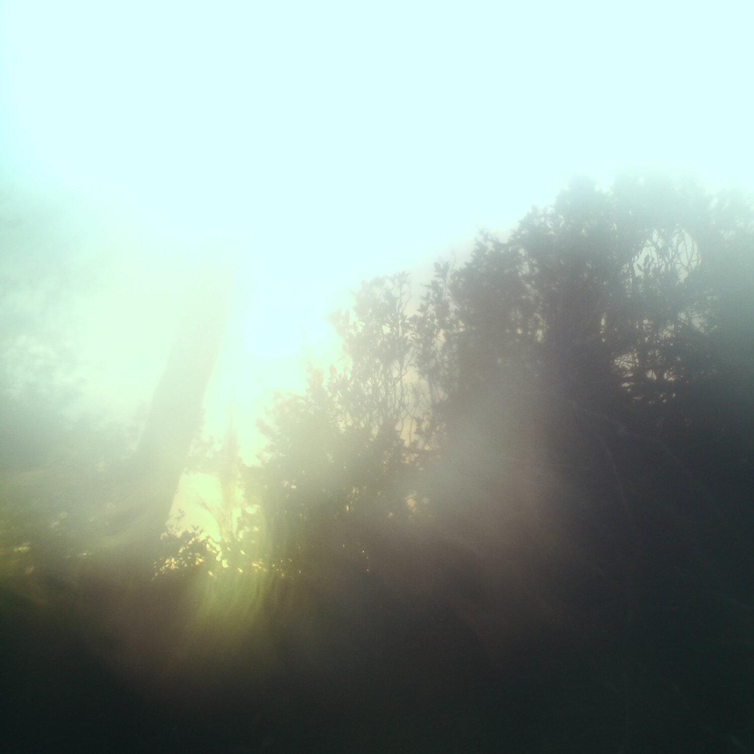 A photo captured from the webcam at the time the audio was recorded