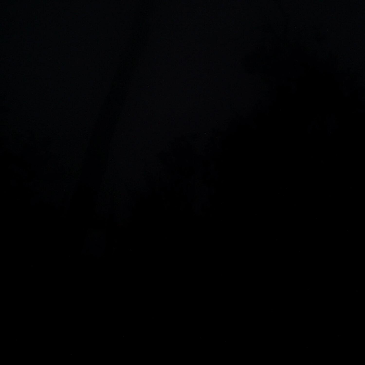A photo captured from the webcam at the time the audio was recorded