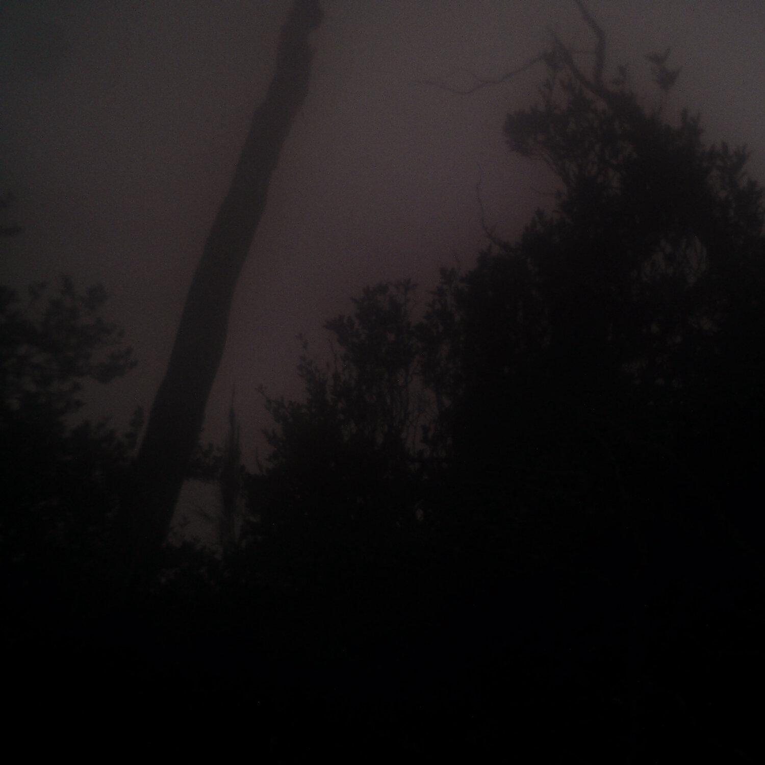 A photo captured from the webcam at the time the audio was recorded