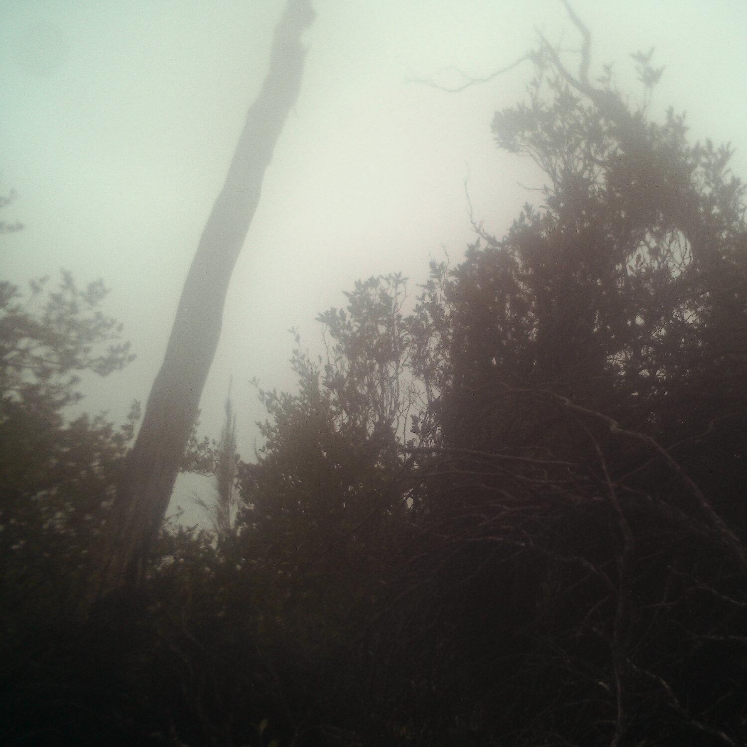 A photo captured from the webcam at the time the audio was recorded