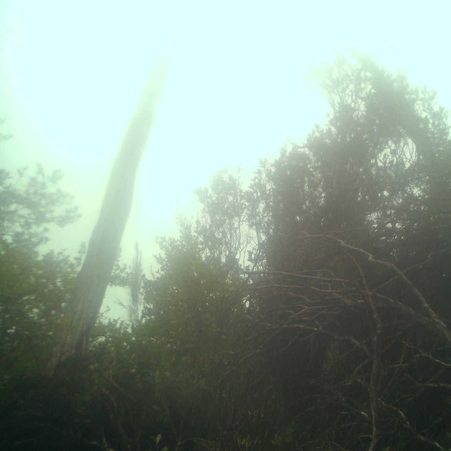 A photo captured from the webcam at the time the audio was recorded