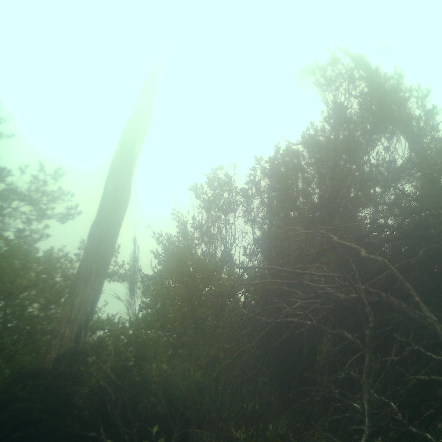 A photo captured from the webcam at the time the audio was recorded