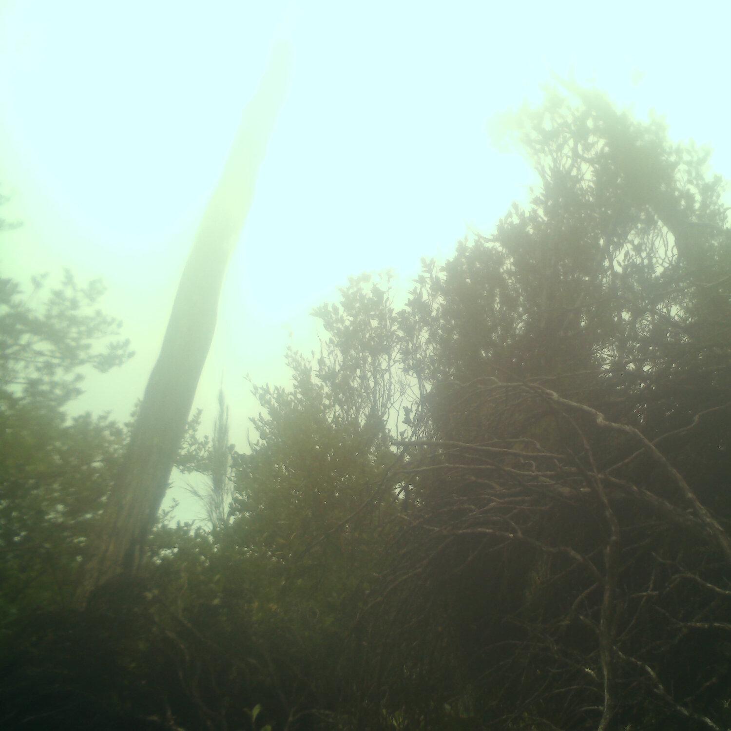A photo captured from the webcam at the time the audio was recorded