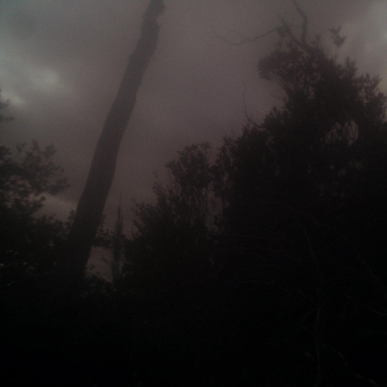 A photo captured from the webcam at the time the audio was recorded