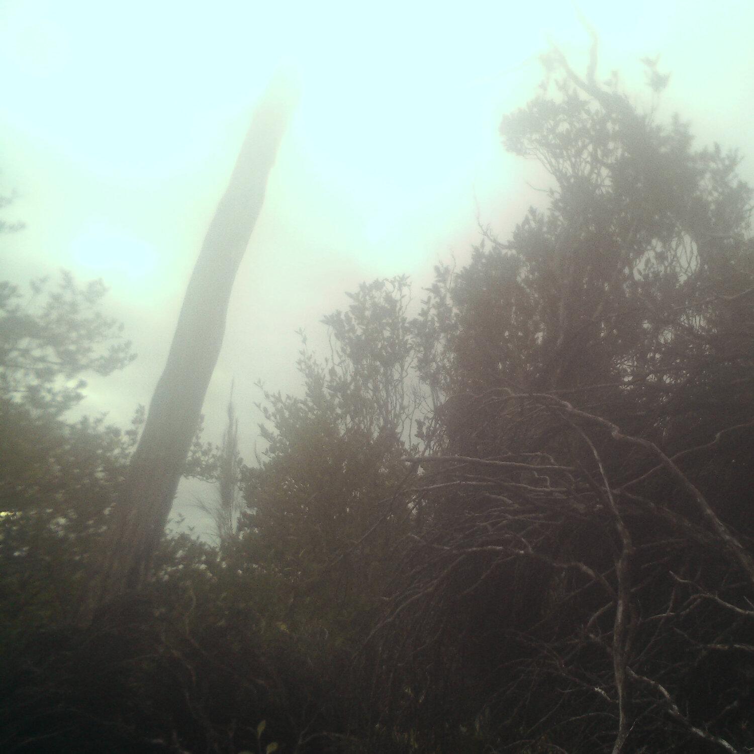 A photo captured from the webcam at the time the audio was recorded