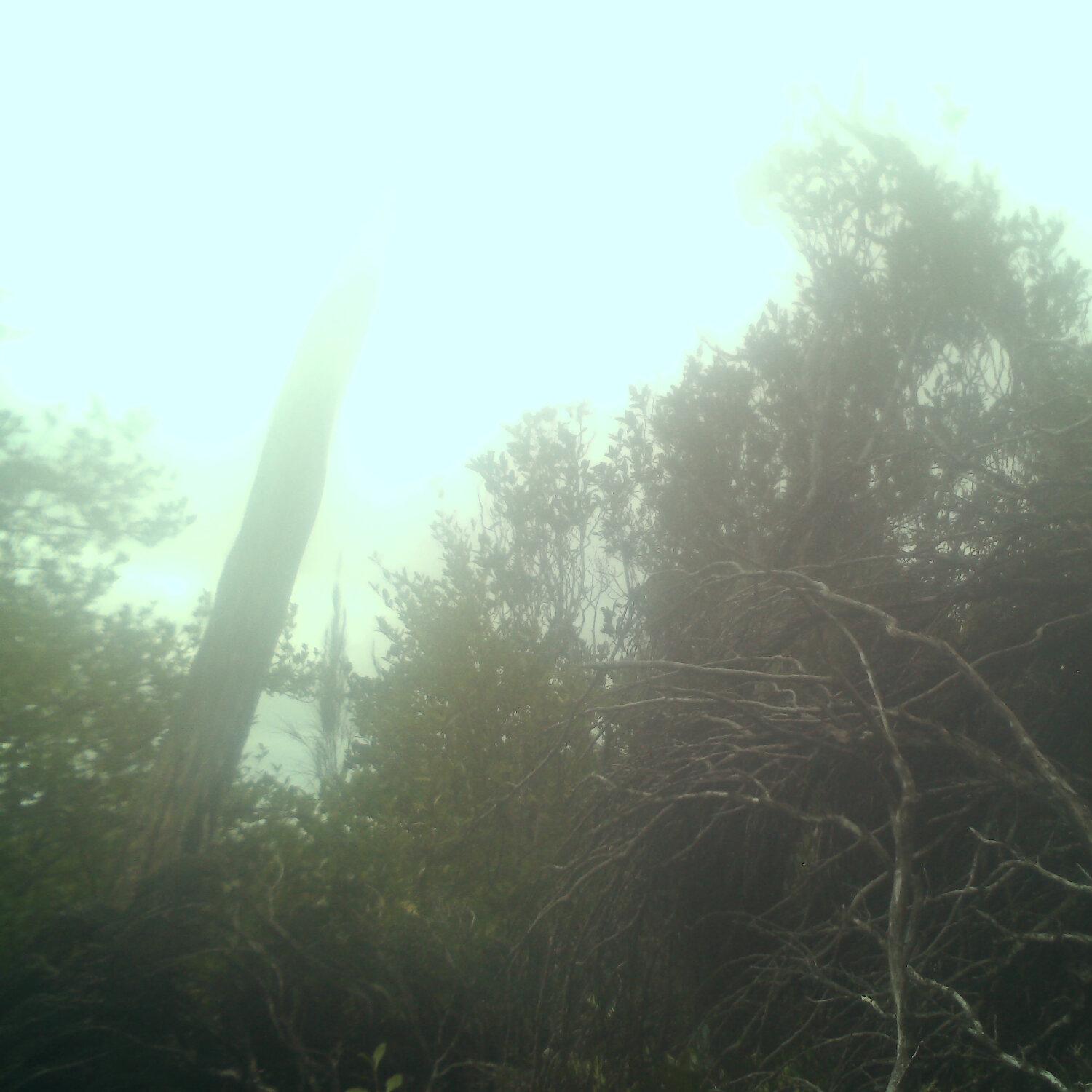 A photo captured from the webcam at the time the audio was recorded