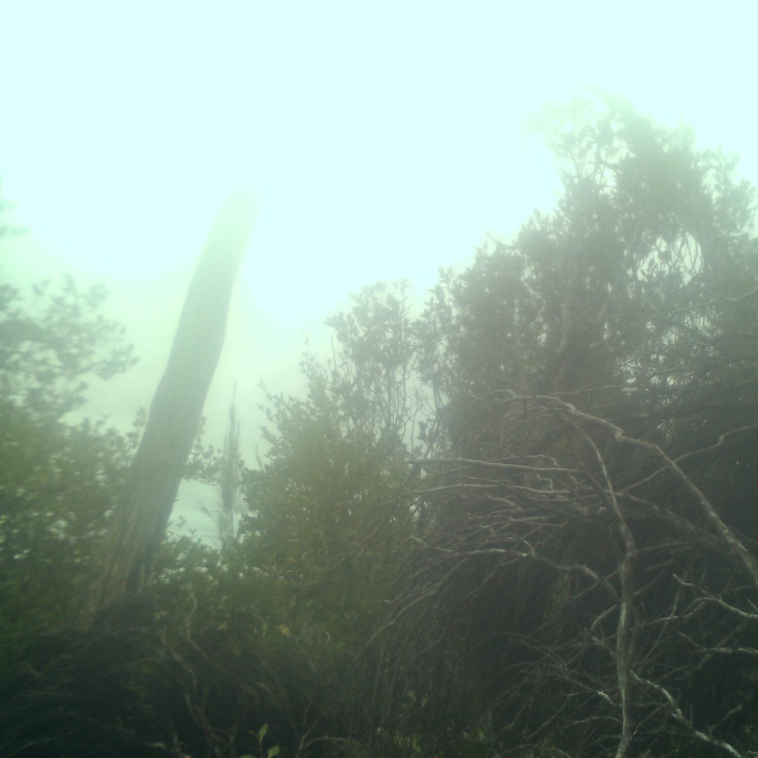A photo captured from the webcam at the time the audio was recorded