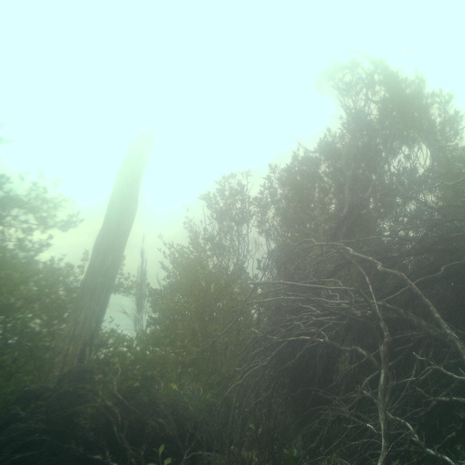 A photo captured from the webcam at the time the audio was recorded