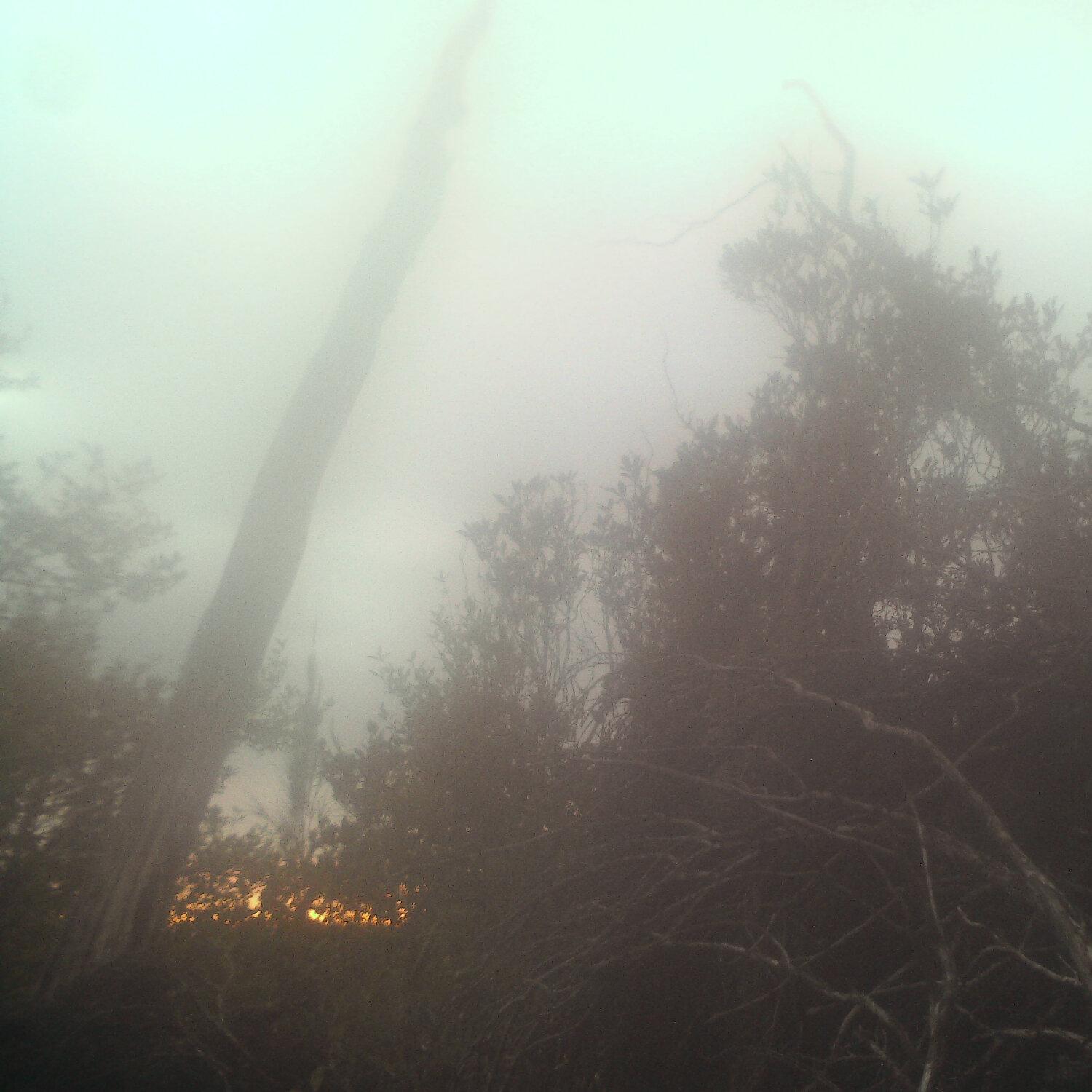 A photo captured from the webcam at the time the audio was recorded