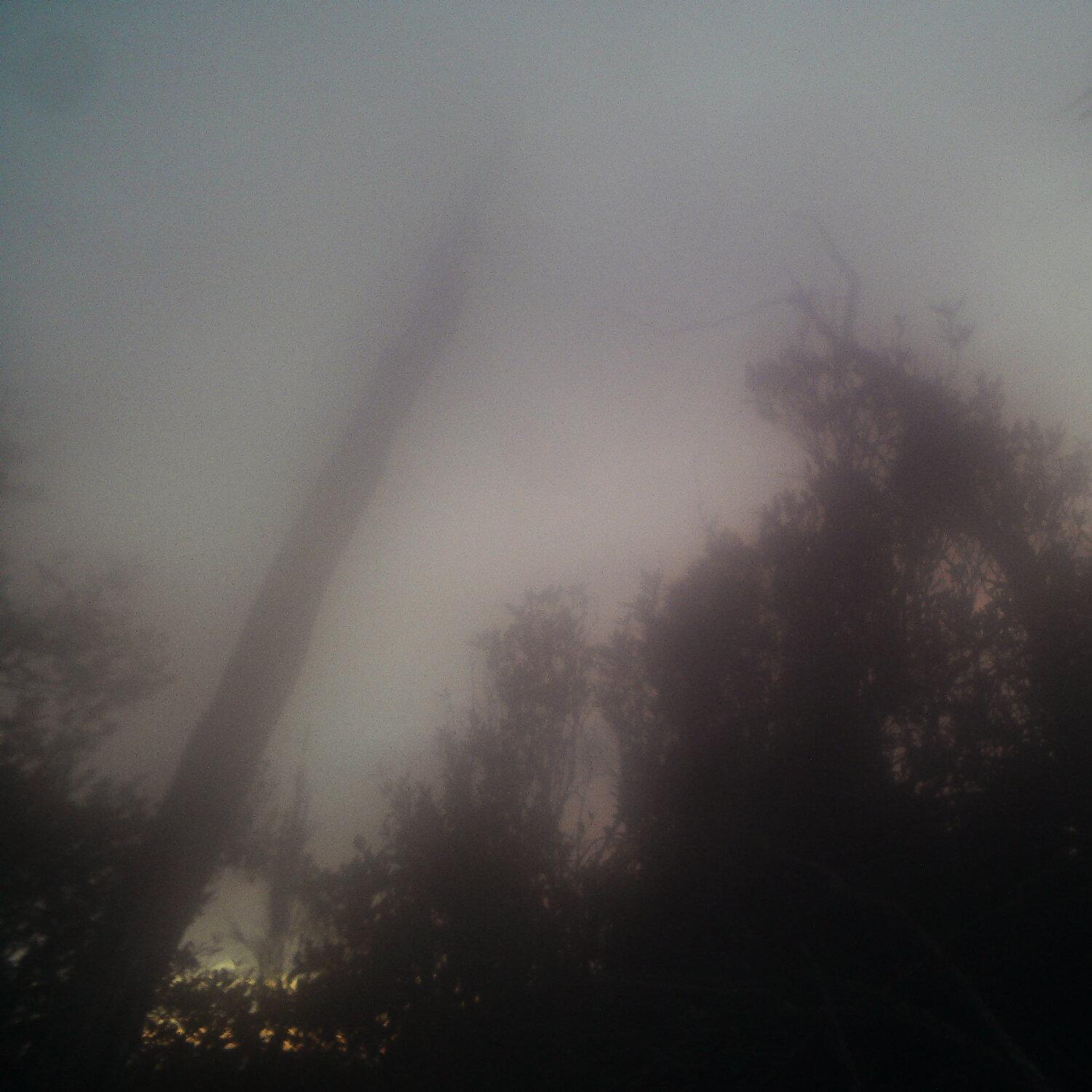 A photo captured from the webcam at the time the audio was recorded