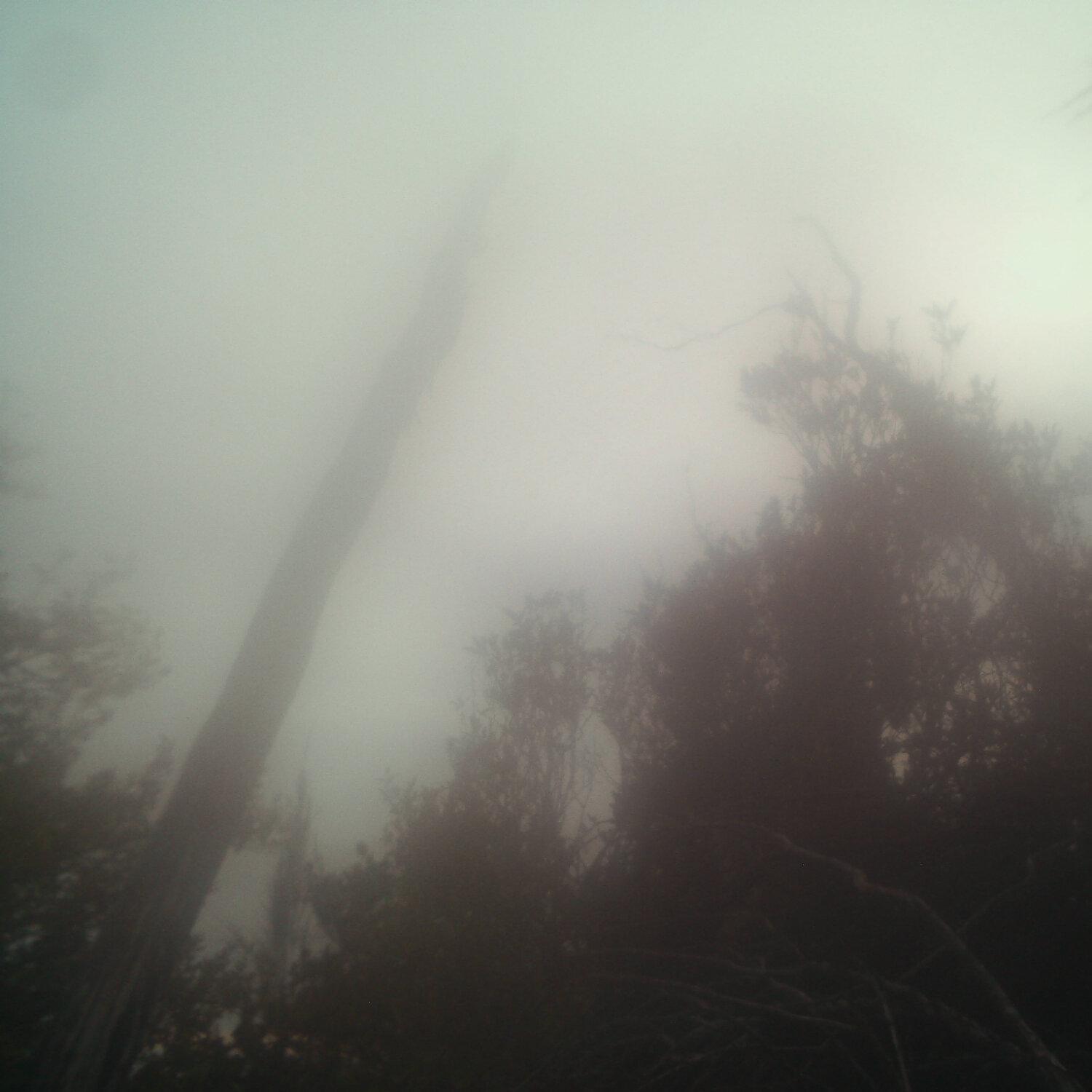A photo captured from the webcam at the time the audio was recorded
