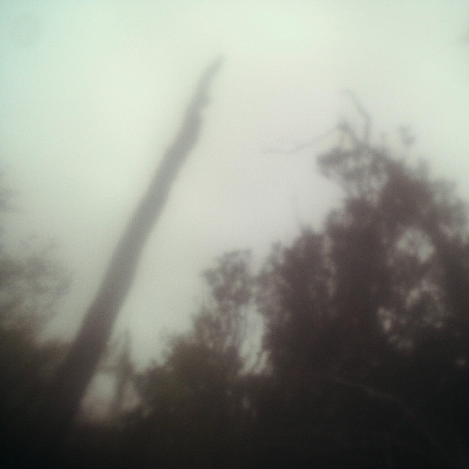A photo captured from the webcam at the time the audio was recorded