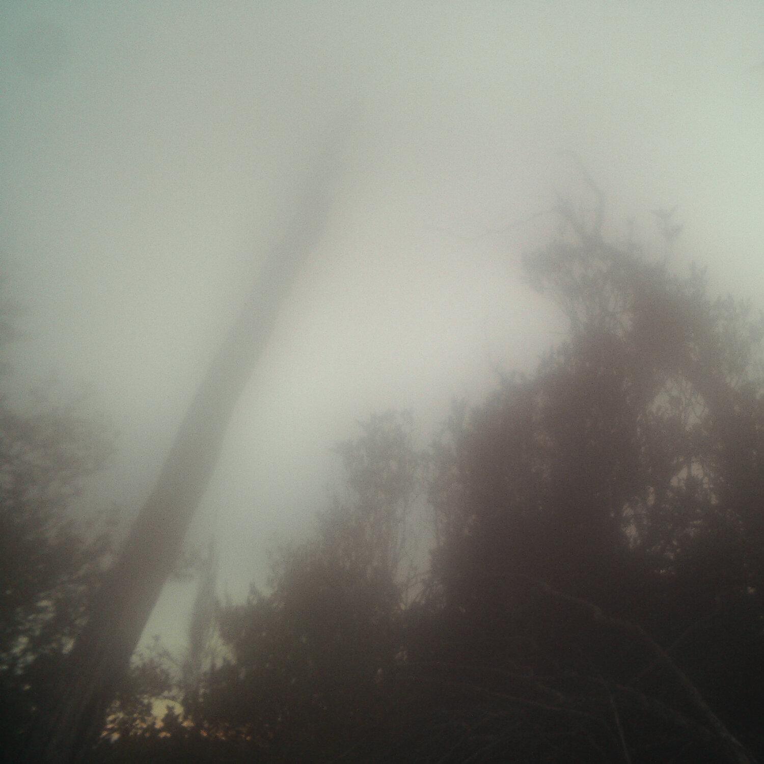 A photo captured from the webcam at the time the audio was recorded