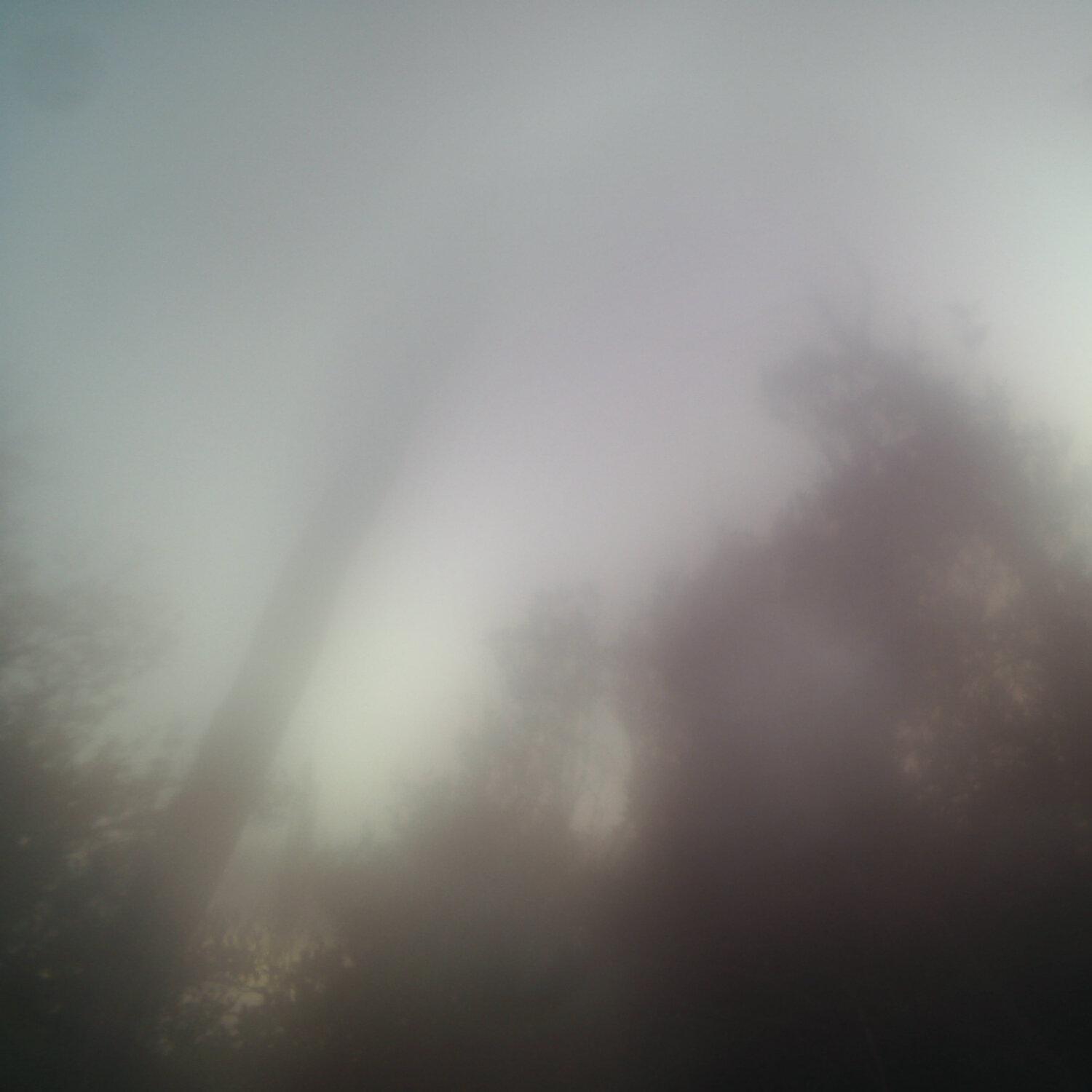 A photo captured from the webcam at the time the audio was recorded