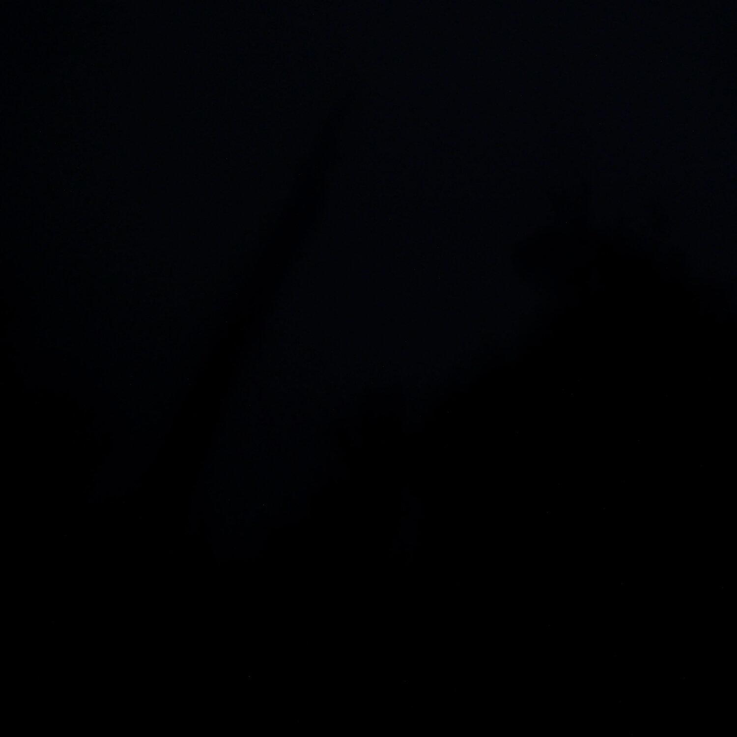 A photo captured from the webcam at the time the audio was recorded