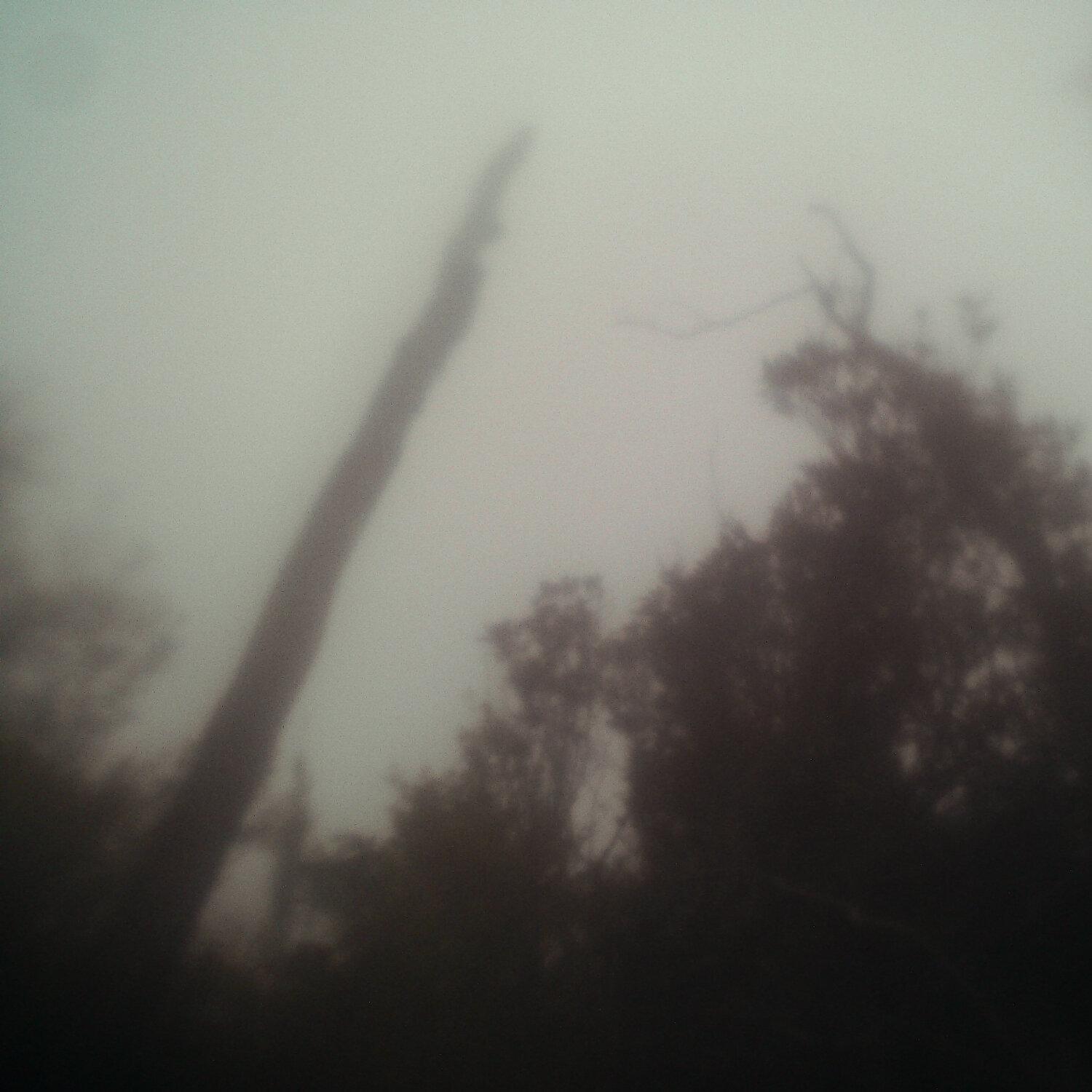 A photo captured from the webcam at the time the audio was recorded