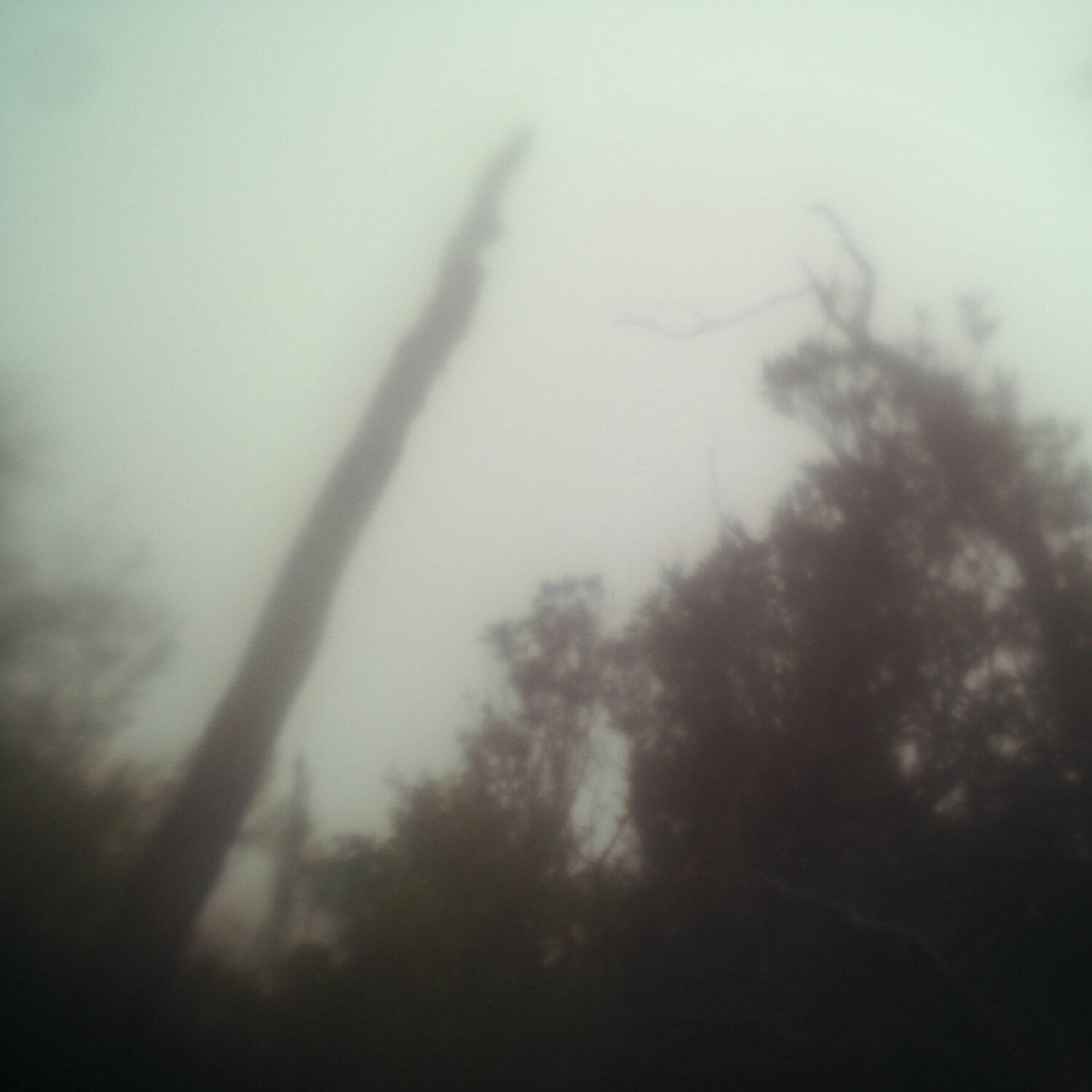 A photo captured from the webcam at the time the audio was recorded