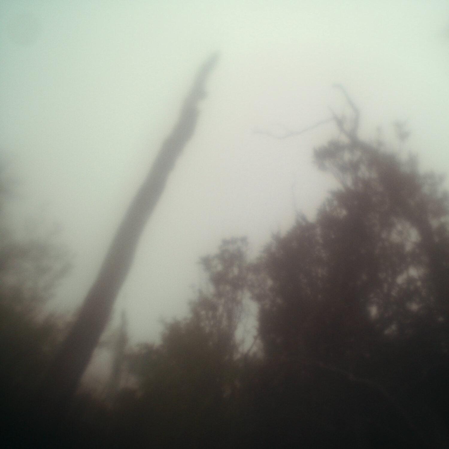 A photo captured from the webcam at the time the audio was recorded