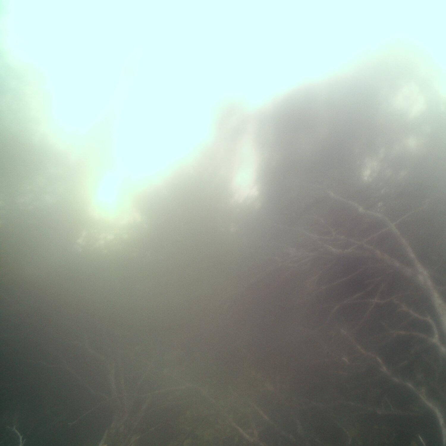 A photo captured from the webcam at the time the audio was recorded