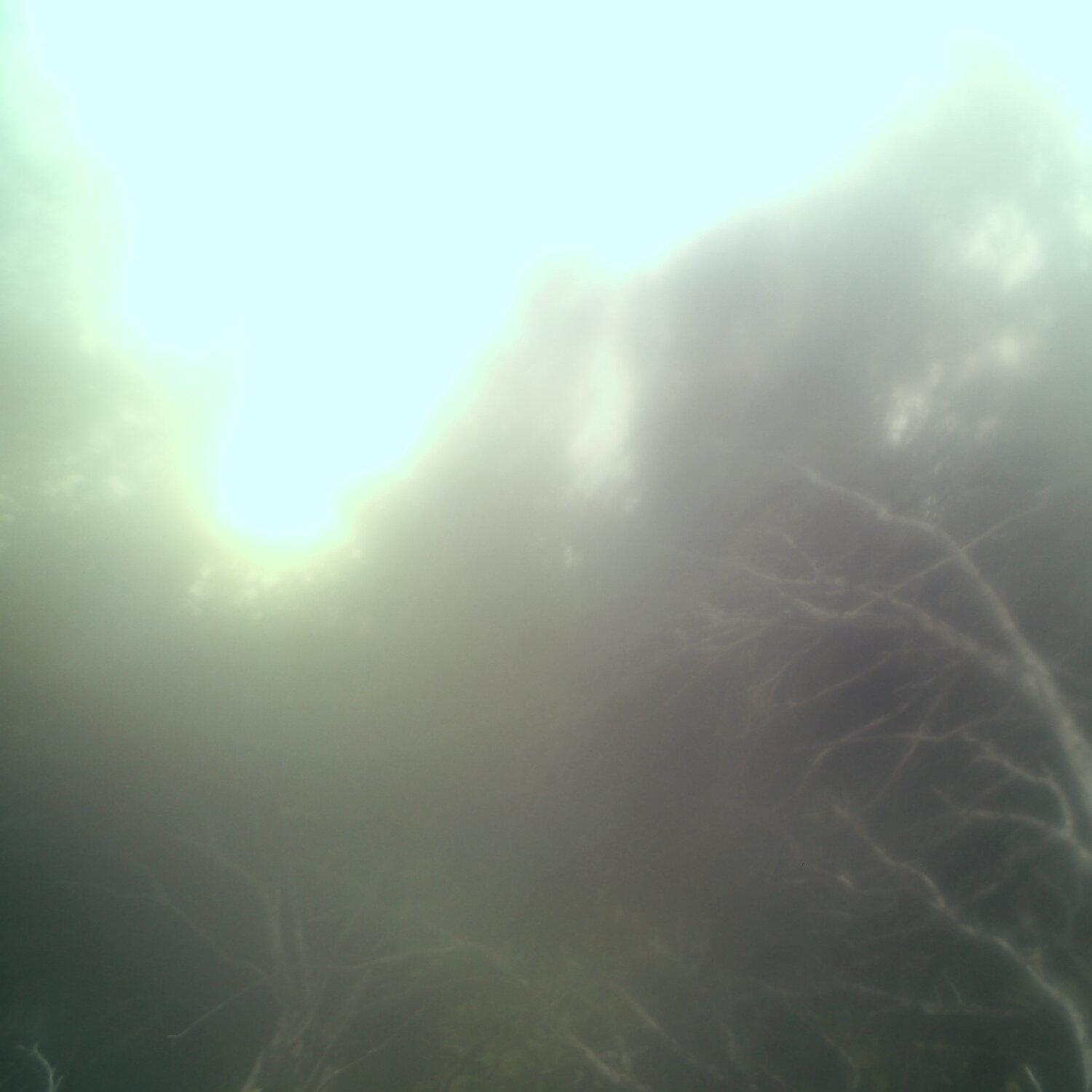 A photo captured from the webcam at the time the audio was recorded