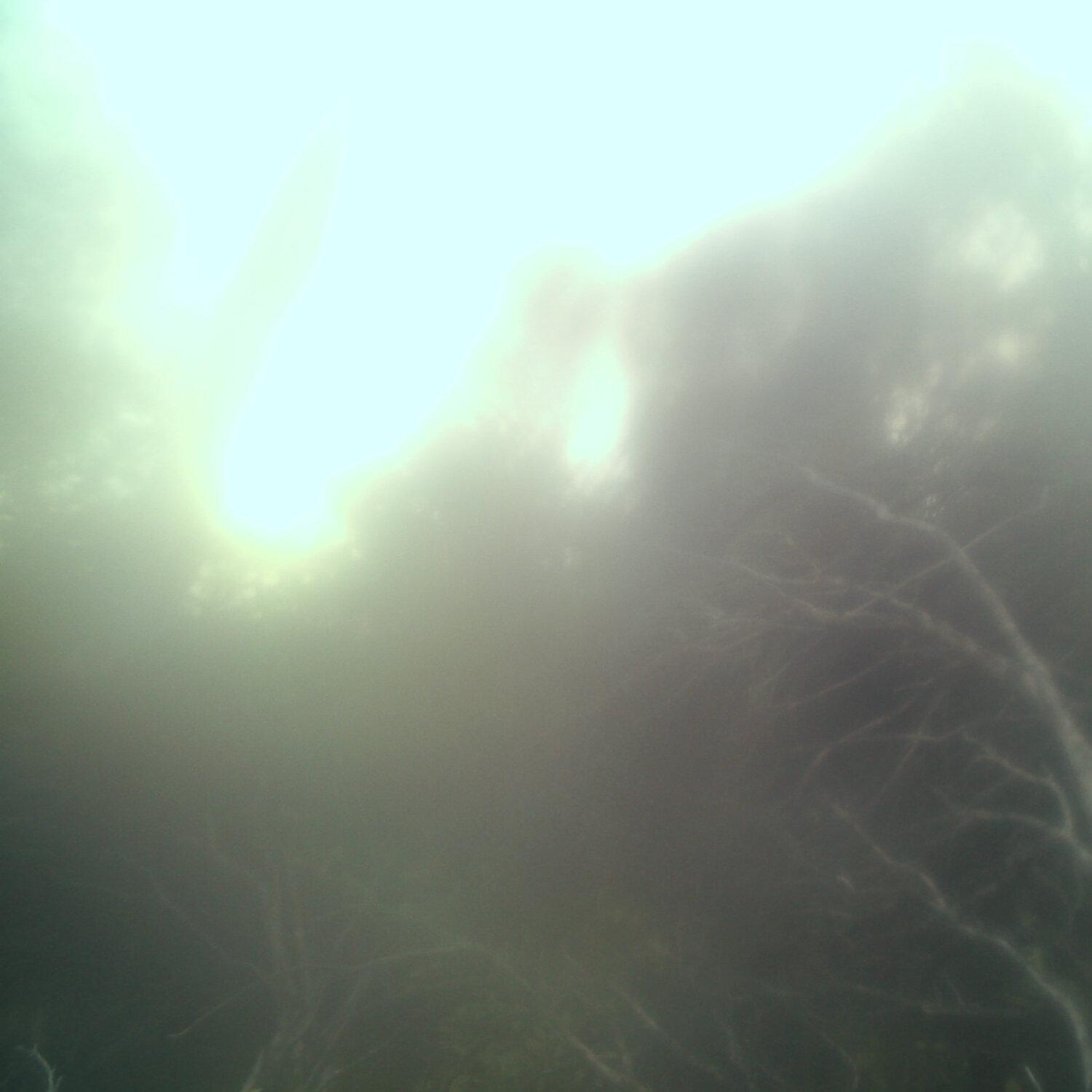 A photo captured from the webcam at the time the audio was recorded