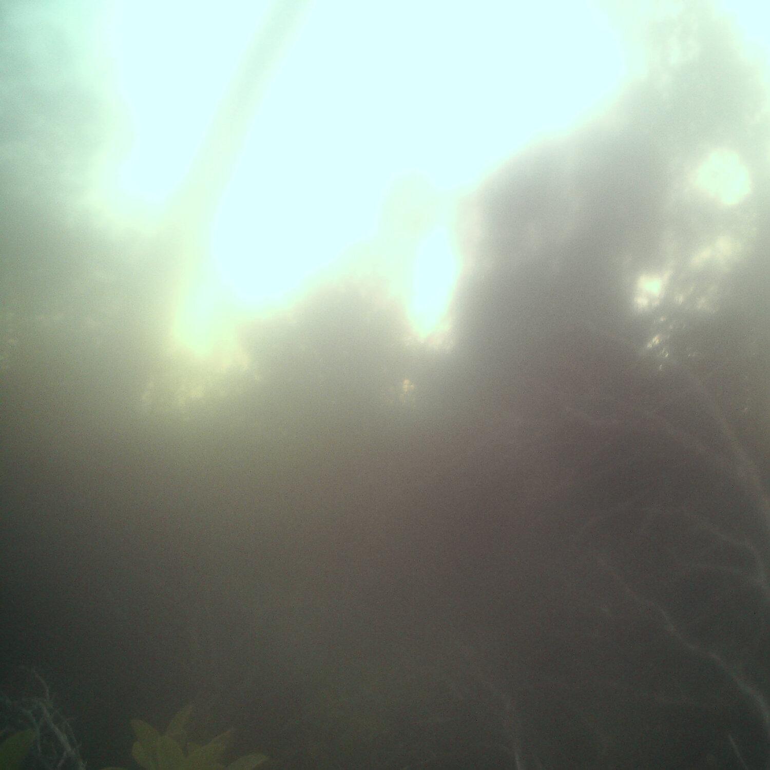 A photo captured from the webcam at the time the audio was recorded