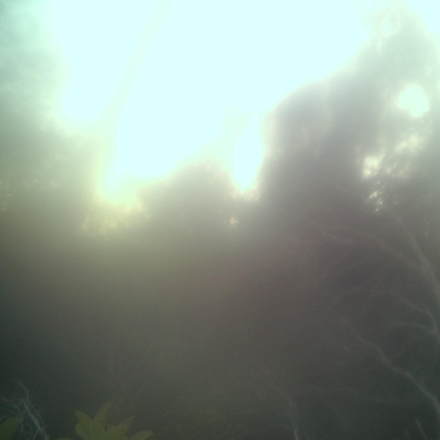 A photo captured from the webcam at the time the audio was recorded