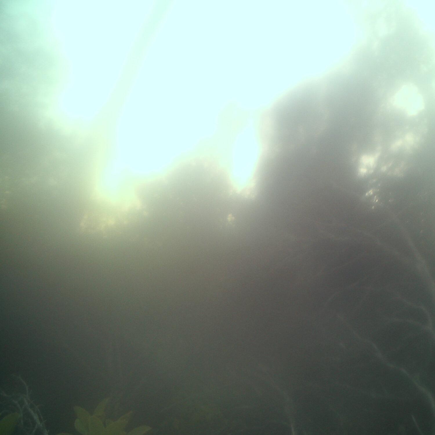 A photo captured from the webcam at the time the audio was recorded