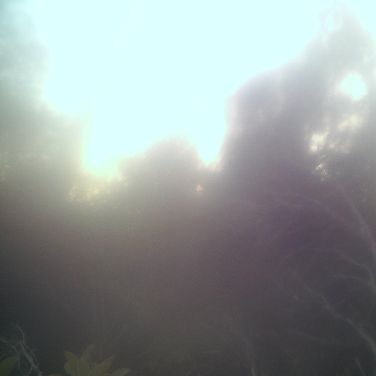 A photo captured from the webcam at the time the audio was recorded