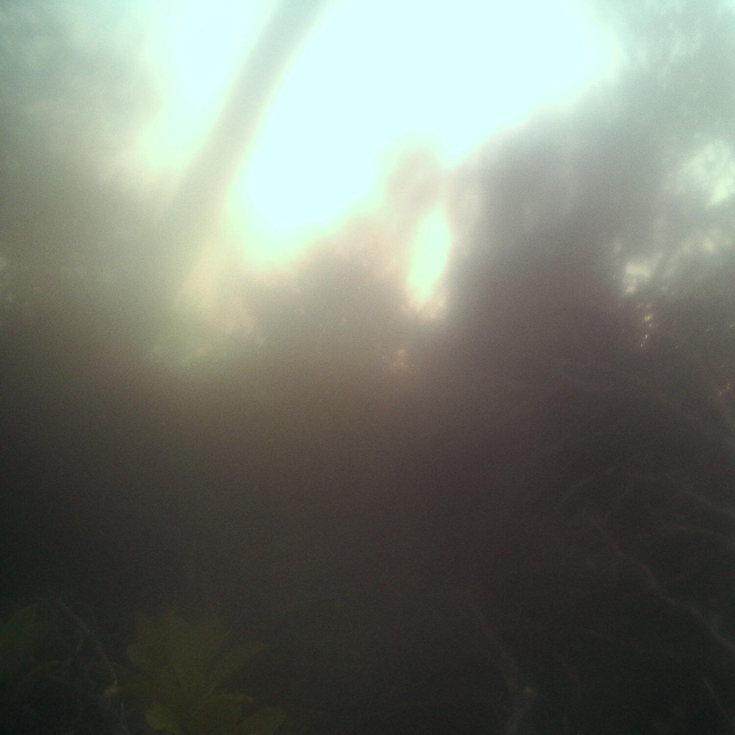 A photo captured from the webcam at the time the audio was recorded