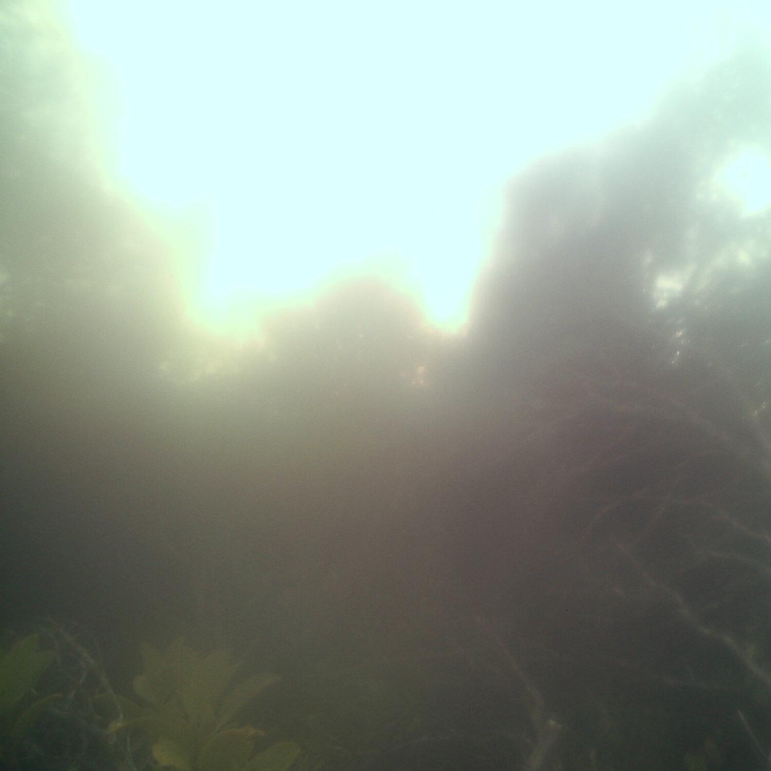 A photo captured from the webcam at the time the audio was recorded