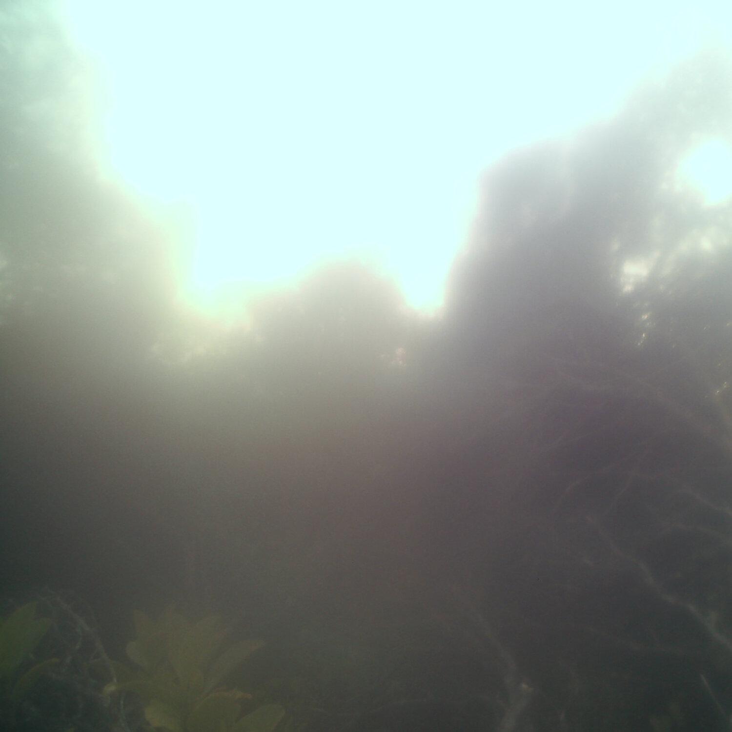 A photo captured from the webcam at the time the audio was recorded