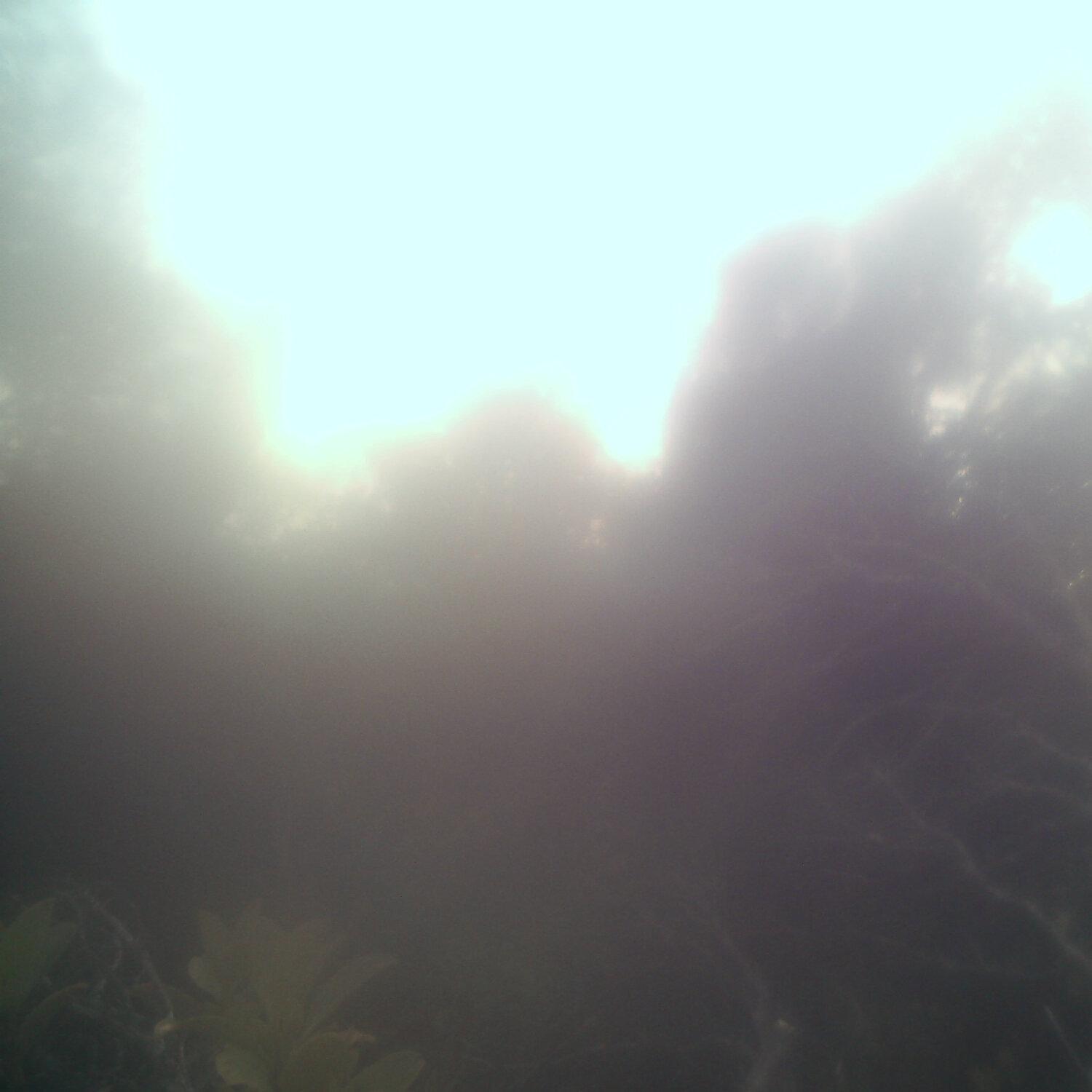 A photo captured from the webcam at the time the audio was recorded