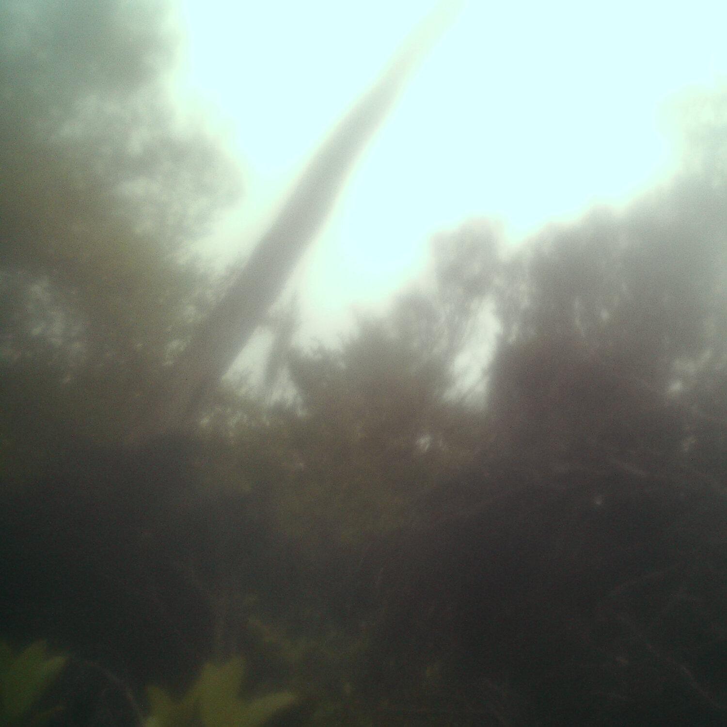 A photo captured from the webcam at the time the audio was recorded