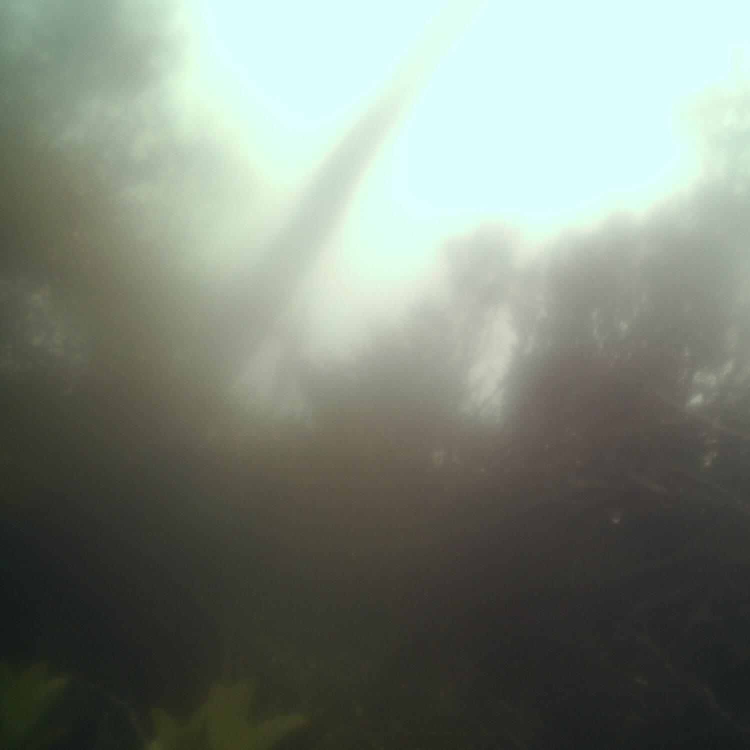 A photo captured from the webcam at the time the audio was recorded