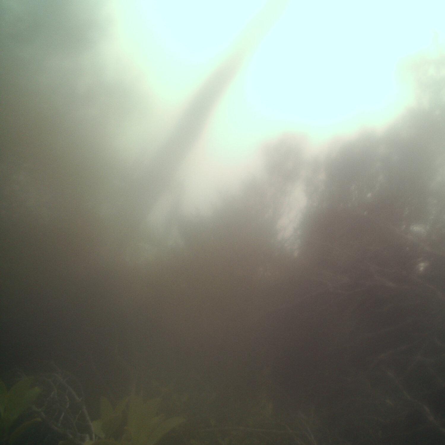 A photo captured from the webcam at the time the audio was recorded
