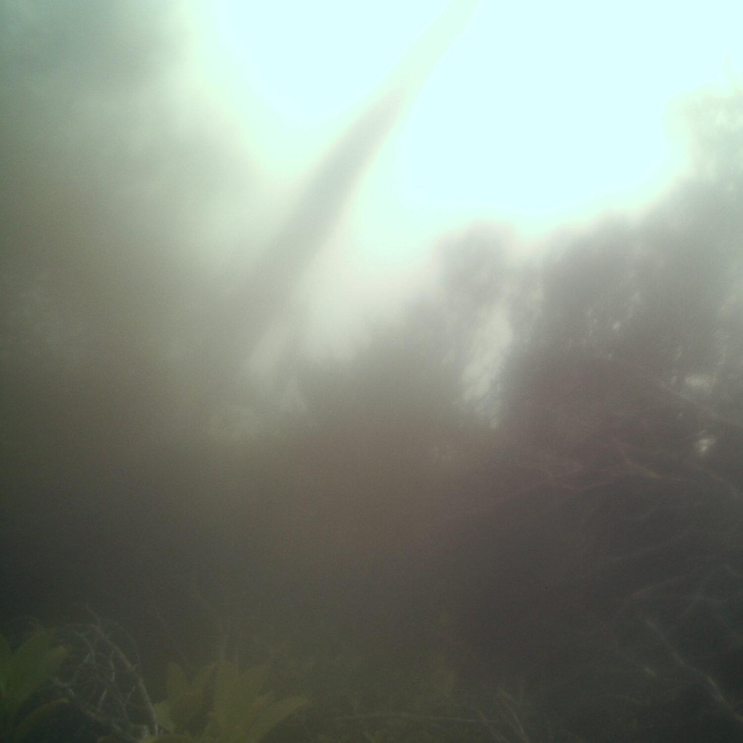 A photo captured from the webcam at the time the audio was recorded
