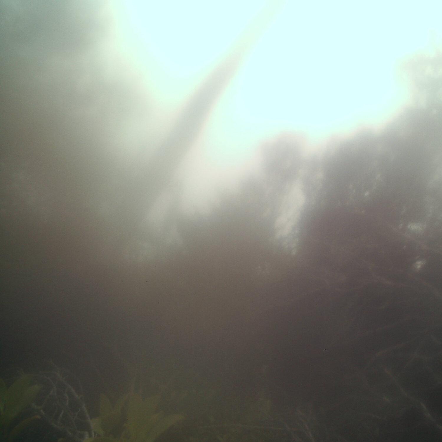 A photo captured from the webcam at the time the audio was recorded