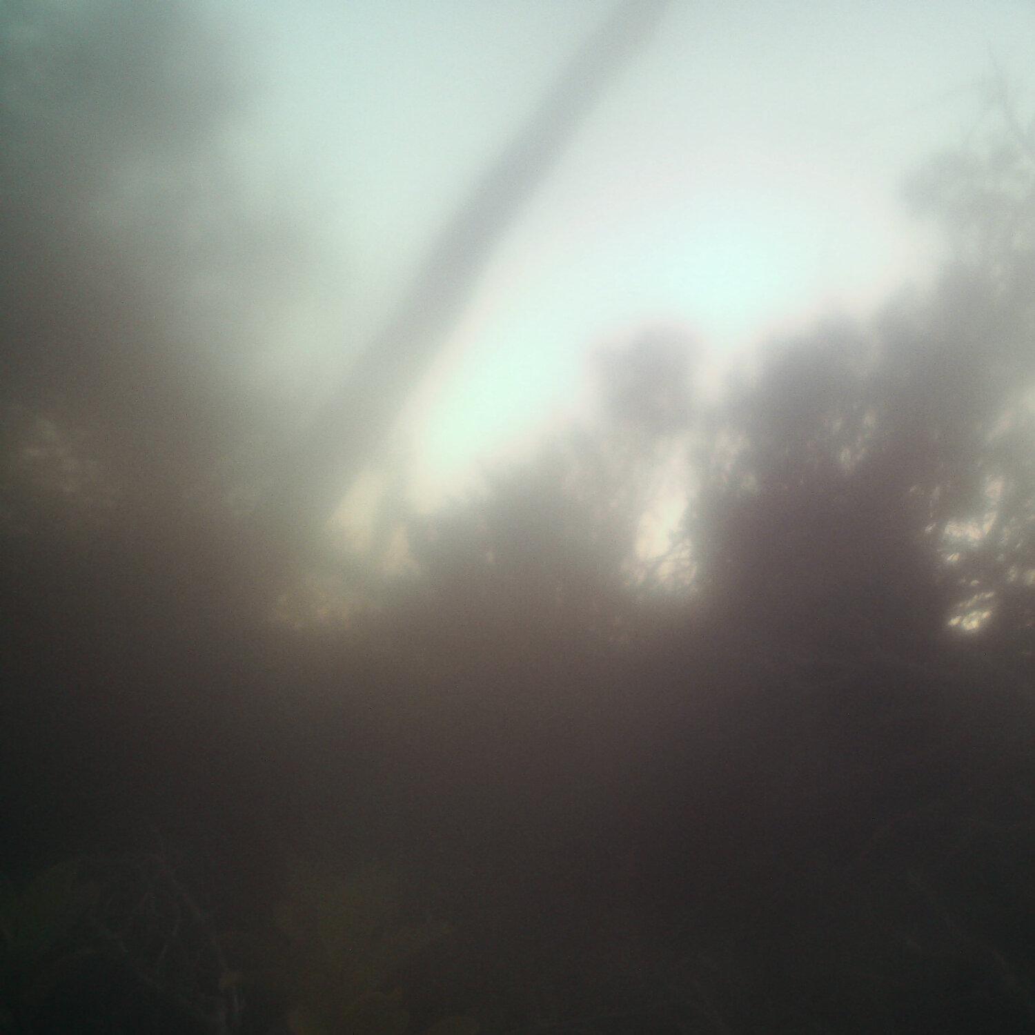 A photo captured from the webcam at the time the audio was recorded