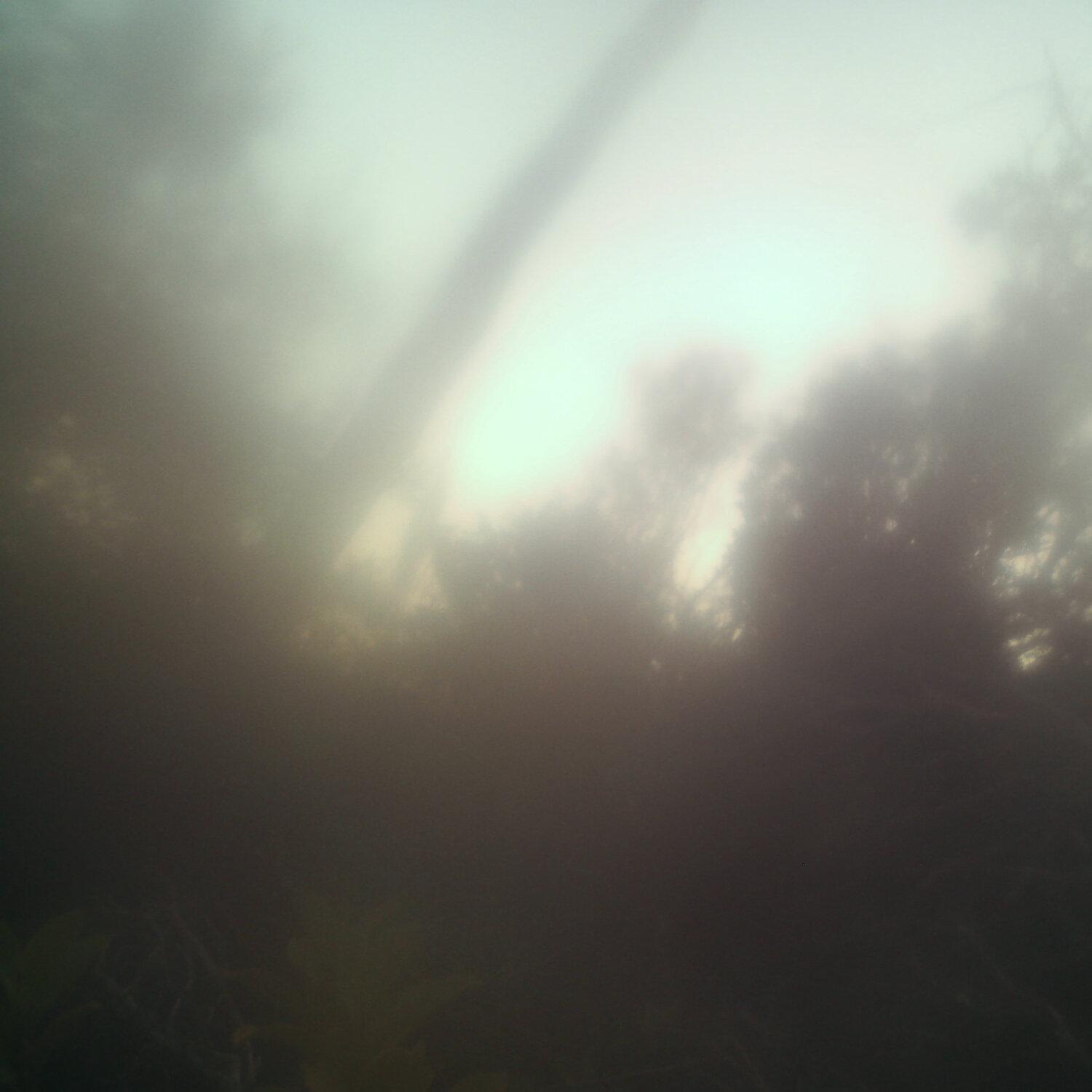 A photo captured from the webcam at the time the audio was recorded