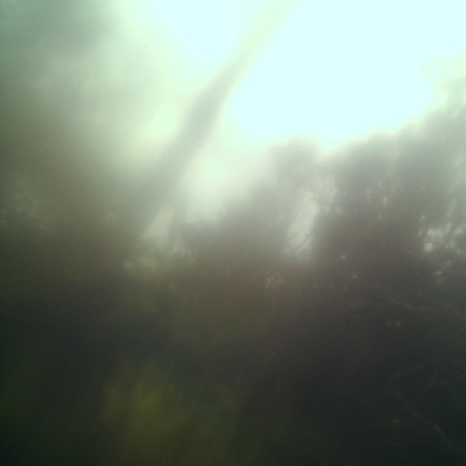 A photo captured from the webcam at the time the audio was recorded