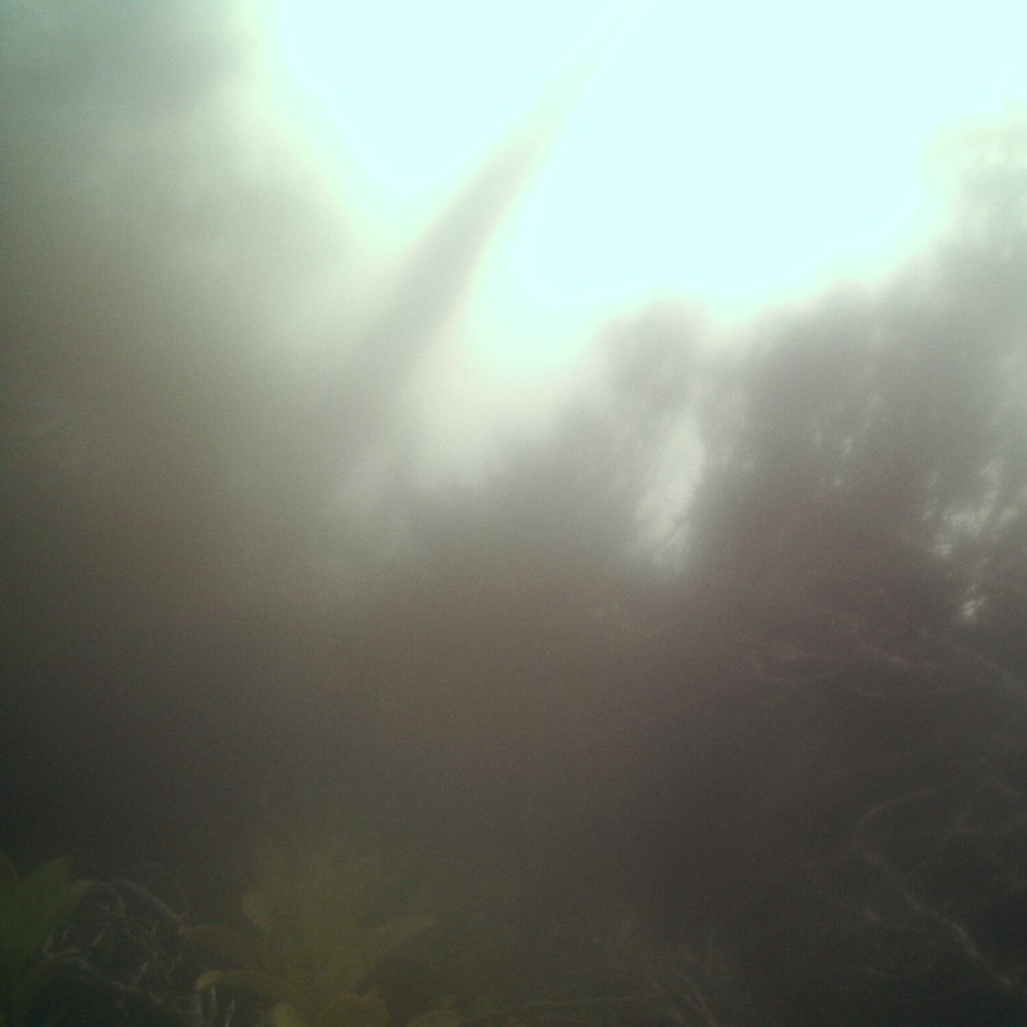 A photo captured from the webcam at the time the audio was recorded