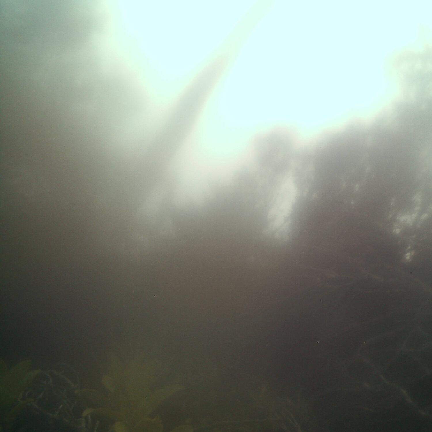 A photo captured from the webcam at the time the audio was recorded